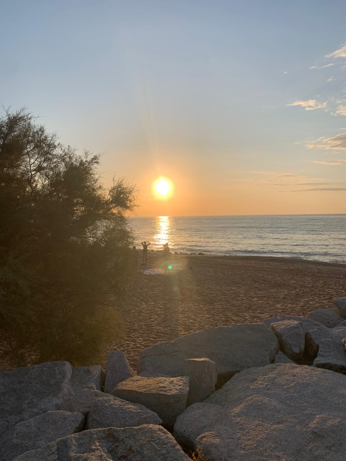 Contemplación frente al mar